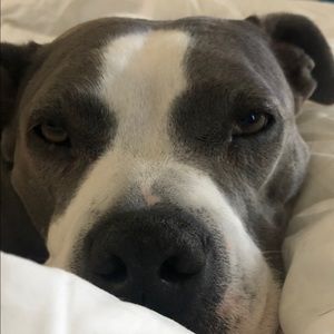 Meet your Posher, Mario